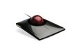 Kensington SlimBlade™ Trackball - Zwart