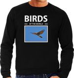 Bellatio Decorations Birds of the World Dieren foto sweater Havik - zwart - heren - cadeau trui Havik roofvogels liefhebber S