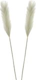 Mica Decorations Pluimgras losse steel/tak - 2x - salie groen - 104 cm