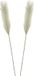 Mica Decorations Pluimgras losse steel/tak - 2x - salie groen - 104 cm