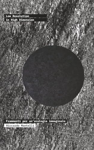 Low Resolution in High Dimension: Frammenti per un’ecologia immaginale