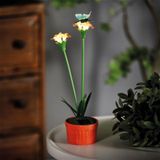 Garden Of Eden Solar Gekleurde Tuinbloem – Rood – 10 Warm Witte LED’s – 32 Cm – Steeklamp Op Zonne-Energie – Automatisch Aan Bij Schemer – Decoratieve Buitenverlichting Voor Tuin En Balkon [11735B]