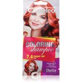 Delia Cosmetics Cameleo Copper Red Coloring Shampoo 40ml 7.4