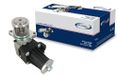 PROCODIS France VGR025 vanne EGR