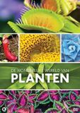 Baeckens TDM Wonderlijke Wereld Van Planten (DVD)