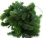 Gasper Slinger den kerst groen 180 cm - kunstplant