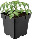 GARRONDA Vierkante kunststof bloempot met drainagegaten voor tuin (Zwart, 14 x 14 x 14 cm (2L))