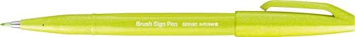 Pentel SES15C-K2X Brush Sign Pen limoengroen, vezelpen, penseelachtige punt, 10 stuks