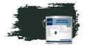 Wixx PRO PU Houtlak Satin - 1L - Grachtengroen | Q0.05.10