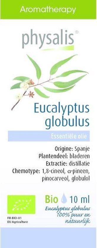 Eucalyptus Globulus