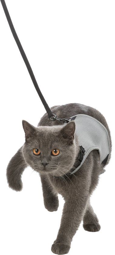 Trixie Kattentuigje Met Riem 24-42 Cm Mesh Rood/wit