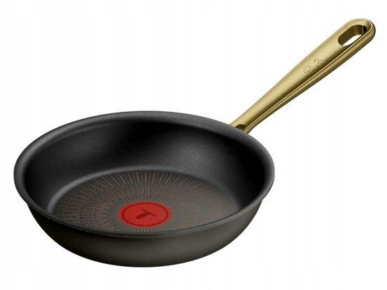 Tefal Paul Bocuse Koekenpan 20 cm Titanium