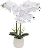 Atmosphera Orchidee bloemen kunstplant - in een witte bloempot - witte bloemen - H60 cm