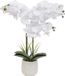 Atmosphera Orchidee bloemen kunstplant - in een witte bloempot - witte bloemen - H60 cm