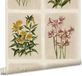 Laura Ashley Papier peint intissé - Pershore Postcards Linen