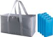 Merkloos Grote isolatie koeltas zilver/grijs 39 x 22 x 19 cm met 4x stuks blauwe koelelementen