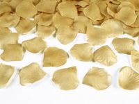 Merkloos / Sans marque Goodies and Living Groothandel Gouden Rozenblaadjes 100st