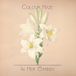 Sonic Rendezvous Colour Haze - In Her Garden (CD) (Remastered)