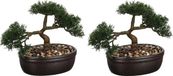 Atmosphera Kunstplant Bonsai boompje - Set van 2x stuks - 23 cm - in keramische pot