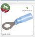 Quadrios 23C523 Ringkabelschoen Dwarsdoorsnede (max.): 2.5 mm² Gat diameter: 6.5 mm Deels geïsoleerd Blauw 50 stuk(s)