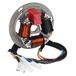 Citomerx Simson Onderplaat, ontsteking, elektronica, dynamo, stator, 12V, 42W, geschikt voor S51, S70, SR50, KR51, Schwalbe