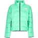 the-north-face Donsjack voor dames 2000 Chlorofylgroen