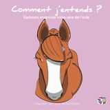 Comment j'entends ?: Explore les 5 sens de Petit Totem