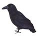 Bristol Novelty BA702 Veer Raven, Unisex-Volwassene, One Size