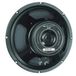 Eminence Bass/Hydrange-luidspreker 25 cm 150 W 8 ohm