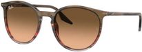 Ray-Ban RB2204 1393B - Bruin