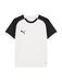 PUMA Functioneel shirt 'TeamLIGA26 Matchday' zwart / wit