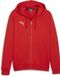 PUMA teamGOAL Casuals herenjack met capuchon, sweatshirt pullover 658595 rood