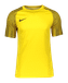 Nike Performance Academy Trikot Teamsport
