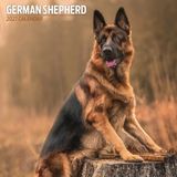 Duitse herder 2027 traditionele kalender