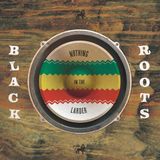 Sonic Rendezvous Black Roots - Nothing In The Larder (LP)