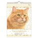 Franciens Katten Verjaardagskalender Jeroen - A4