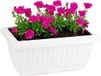 PLASTICFORTE Plantenpot/bloempot Windsor - buiten - kunststof - wit - L33 x B18 x H15 cm