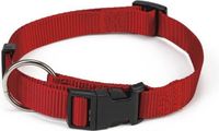 Beeztees Nylon Hondenhalsband Rood 35-55 cm x 20 mm
