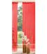 Gardinenbox Draadgordijn, trekkoord, 250x145, rood, 20303