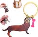 BeiJingLiangPinJiaZuoKeJiWenHuaFaZhanYouXianGongSi Porte-clés Teckel en Acrylique, Porte-bonheur pour Amateurs de Chiens, Cadeau Original pour Femmes, Hommes et Enfants