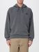 Carhartt WIP Sweatshirt 'Vista' gris