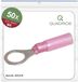 Quadrios 23C519 Ringkabelschoen Dwarsdoorsnede (max.): 1.5 mm² Gat diameter: 8.5 mm Deels geïsoleerd Rood 50 stuk(s)