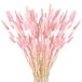 Ibenzoa® Set van 120 Stuks Pampasgras Gedroogd Klein voor Decoratie in Huis, Bruiloft en Tafel