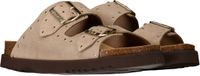 Scholl Sandalen Beatriz Suede Vrouwen - Beige
