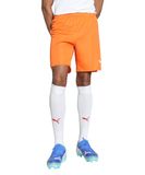 PUMA teamGOAL Shorts Heren sportbroek - Rickie Orange-PUMA White