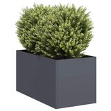 vidaXL Plantenbak 40x80x40 cm koudgewalst staal antracietkleurig