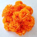 TRvancat Goudsbloem bloemen hoofden bulk, zijden kunstbloemen voor Diwali, Indiaas festival, doe-het-zelf goudsbloem slinger dag van de doden decoraties (oranje)