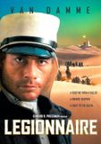 Remain in Light Legionnaire (DVD)