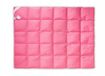 Mr. Pillow Ganzendons Dekbed 60% Dons 200x220 Roze