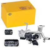 HELLA 6NU 010 171-181 EGR-klep